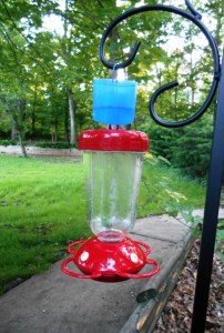 hummingbird feeder