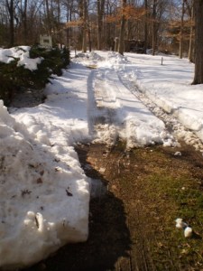 The view from the house