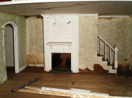 OLYMPUS DIGITAL CAMERA