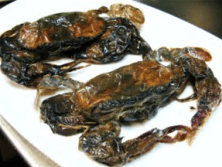 softcrab